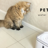 ペット用給水器PETKIT（ペットキット）レビュー設置からお手入れ方法まで