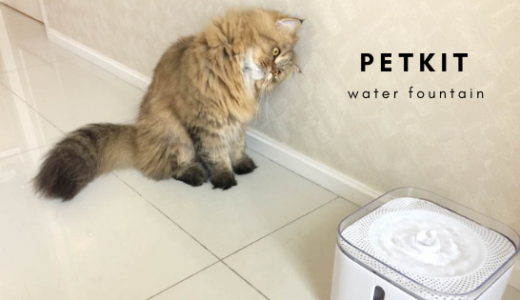 ペット用給水器PETKIT（ペットキット）レビュー設置からお手入れ方法まで
